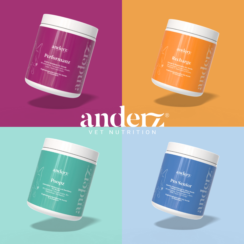 Design ohne Titel-14.png__PID:163be203-8a3e-4439-85eb-2dc0f0623046
